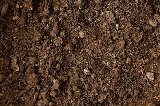 soil composition Image